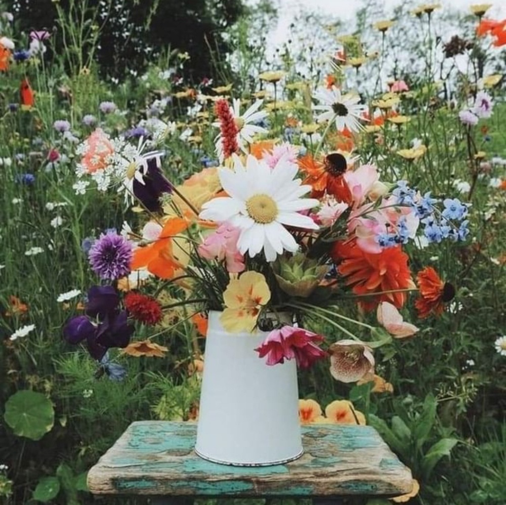 Meet your Posher, Connie